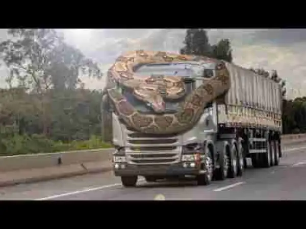 Video: Best Moments Anaconda Snake And Cars Compilation l